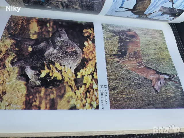 Книга за лов и риболов , снимка 5 - Екипировка - 48345598