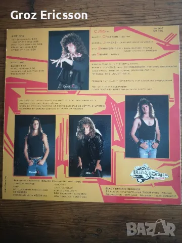 Грамофонни плочи Heavy Metal по 40 лв., снимка 2 - Грамофонни плочи - 49233585