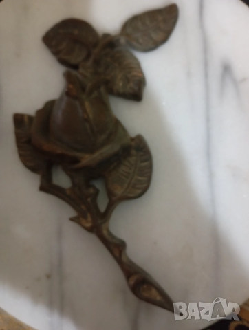 Стара апликация роза