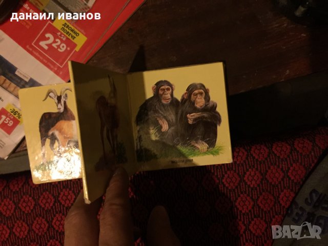 Малка картонена книжка с животни 447, снимка 2 - Детски книжки - 34111774