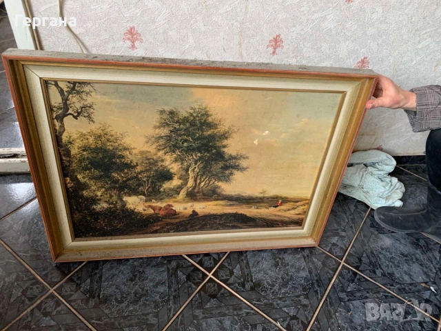 Картини - 2 бр