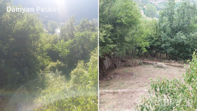 Професионално почистване на дворове , снимка 2 - Други услуги - 51007399