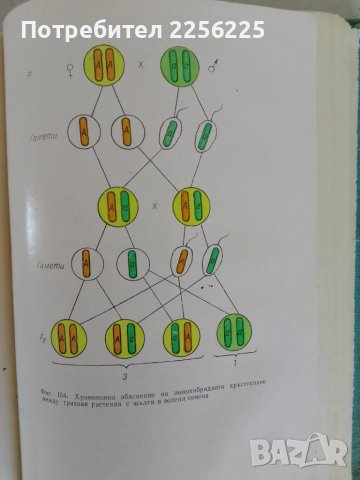 Обща биология, снимка 2 - Специализирана литература - 47493954