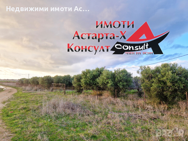 Астарта-Х Консулт продава парцел в Агиос Мамас Халкидики Гърция , снимка 2 - Земеделска земя - 44735166