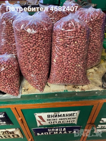 Български ФЪСТЪК, снимка 8 - Разсади - 52790593