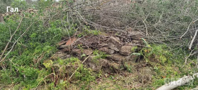 Къща с двор 2718кв.м в регулация в село Могилище на 10км. от плажа 2718кв.м. , снимка 7 - Парцели - 50104229