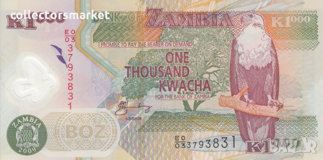 1000 квача 2009, Замбия