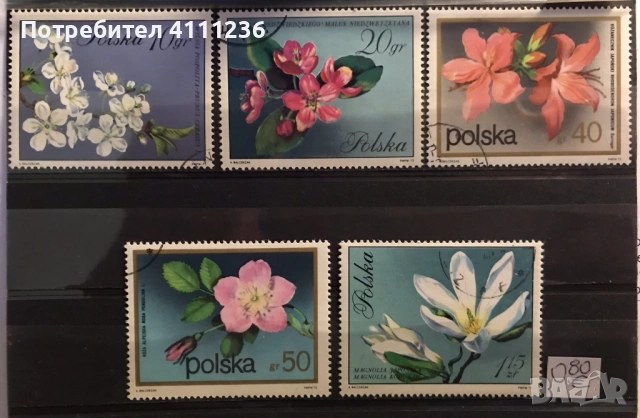 Флора - цена на всяка снимка!, снимка 7 - Филателия - 53456665