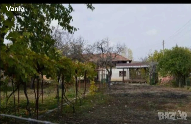 Малко имение под наем, снимка 3 - Вили - 53696690