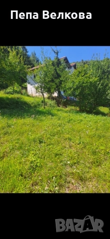 Дворно място в с.Ново Бърдо, снимка 2 - Парцели - 52254049