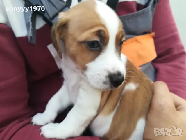 ДЖАК СИ ТЪРСИ ЖЕНСКА ЗА БЕБЕТА 0805251646