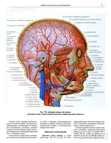 Продавам Руски атласи по медицина., снимка 6 - Електронни книги - 48460842