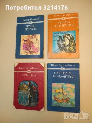 Вийет - Шарлот Бронте, снимка 6 - Художествена литература - 50108983