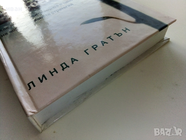 Жизнена стратегия - Линда Гратън - 2002г., снимка 10 - Други - 44567338