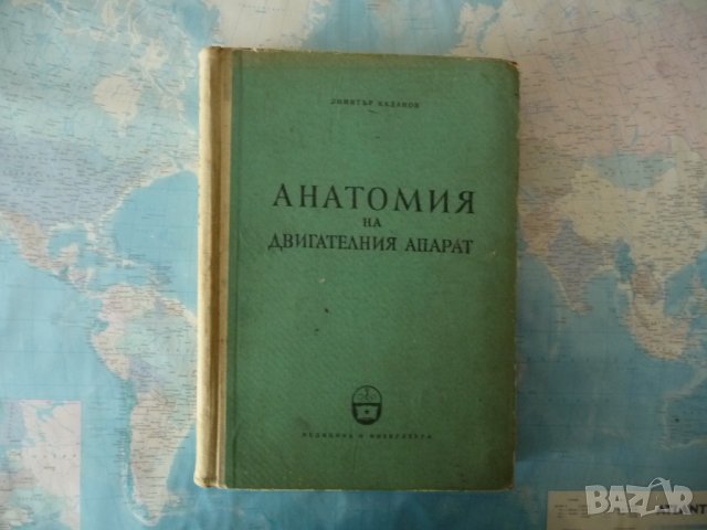 Анатомия на двигателния апарат Димитър Каданов скелет кости мускули