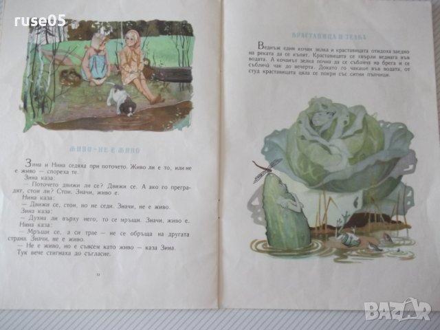 Книга "Синята ръкавичка - Р. Баумвол" - 20 стр., снимка 5 - Детски книжки - 41418952