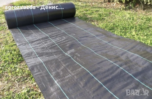 Зебло против плевели