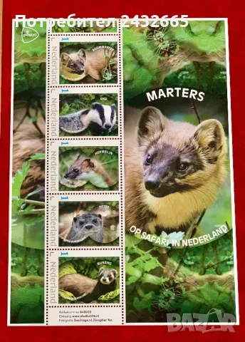 2338. Нидерландия 2024 ~ “ Фауна. На сафари в Холандия : Дребни хищници.“, MNH, **