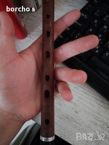 Сол гайдуница - Н-А 