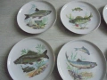 № 8467 Сет от 9 порцеланови чинии с илюстрации на риби  Colditz Germany, снимка 2