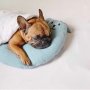 ЛЕГЛО за кучета --топла и мека постелка за куче или коте --ПРОИЗВЕЖДАМ по размер на клиента , снимка 1 - За кучета - 39496738
