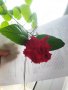 Китайска роза цвят червен пълен кичест , снимка 9