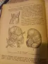 Учебник по хирургия, БГ, 1957г., снимка 5