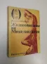 Жизнеописание на Микеланджело - Асканио Кондиви, снимка 1