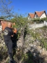 Разчистване на запустели имоти и дворове с мулчер и дробилка, снимка 13