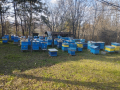 Миналогодишни многокорпусни пчелни отводки, снимка 1 - За пчели - 44588225
