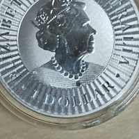 Сребърни монети  9999 1унция 31.1гр., снимка 2 - Нумизматика и бонистика - 44765037