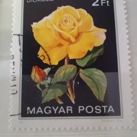 Красива  колекция Унгарски пощенски  марки  с  цветя, снимка 2 - Филателия - 41802307