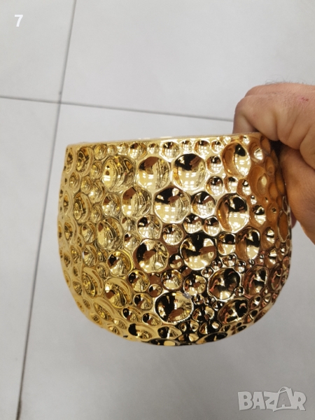 Саксии, снимка 1