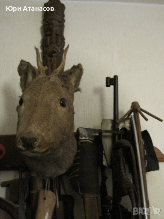 Ловен Трофей Сръндак! , снимка 1