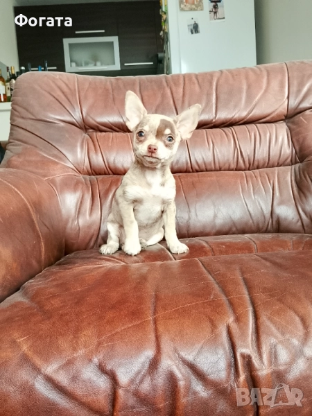 Продава се, снимка 1