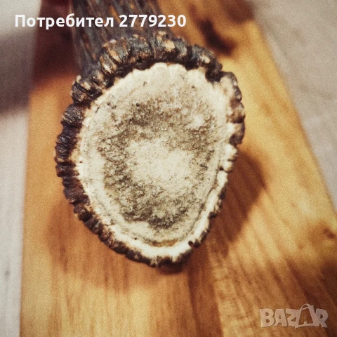 Ловен много масивен нож от колекция , снимка 10 - Колекции - 50754843