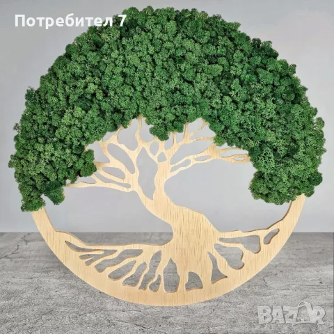 Дървото на живота със скандинавски мъх , снимка 2 - Пана - 48808362