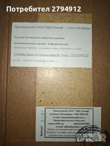 Колекция пеперуди, снимка 3 - Колекции - 53871306