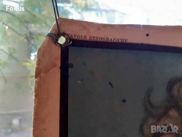 Много стар плакат антропологичен печат Човешките раси 1925г., снимка 5 - Антикварни и старинни предмети - 53408579