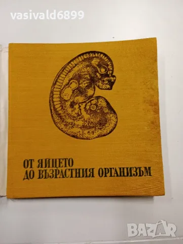 Моско Москов - От яйцето до възрастния организъм , снимка 4 - Специализирана литература - 49008883