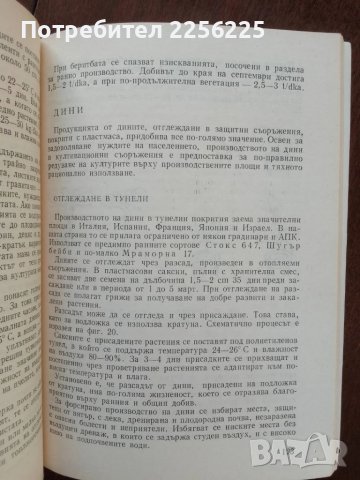 Производство на зеленчуци в пластмасови съоръжения, снимка 4 - Специализирана литература - 51047115