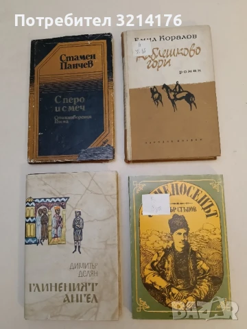 Знаменосецът - Петър Стъпов