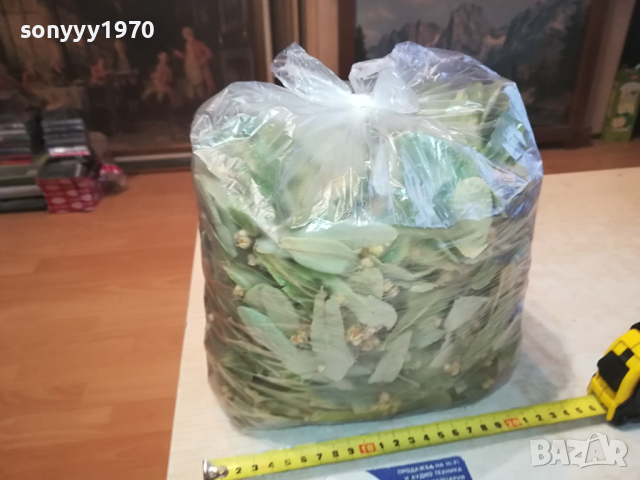 ЛИПОВ ЧАЙ-ГОЛЯМ ПЛИК 0603241644