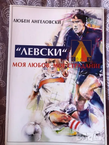 Футбол Левски моя любов мое страдание , снимка 1