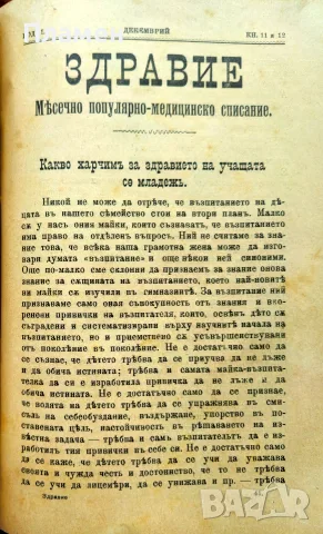 Здравие. Год. 1. Кн. 2-12 / 1902, снимка 10 - Антикварни и старинни предмети - 56325877