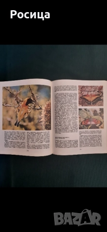 Африка на Лесли Браун от 1976 година, снимка 7 - Енциклопедии, справочници - 51776442