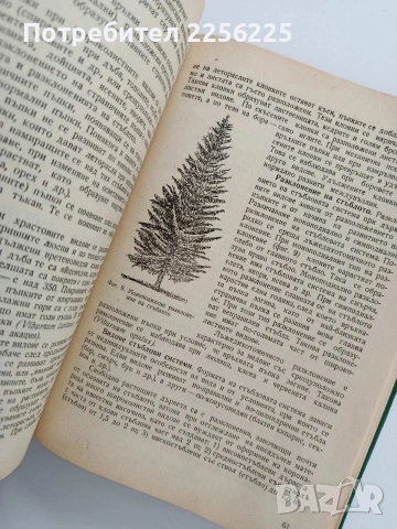 Декоративна дендрология, снимка 2 - Специализирана литература - 53822646