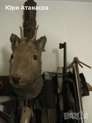 Ловен Трофей Сръндак! 