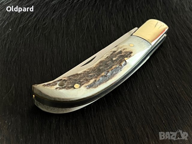 Fox Stag Folder. Траен сгъваем джобен ловен нож с едно основно острие. (FH623), снимка 5 - Ножове - 40601376