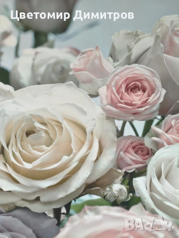 Къща под наем с двор, снимка 16 - Къщи - 53322997